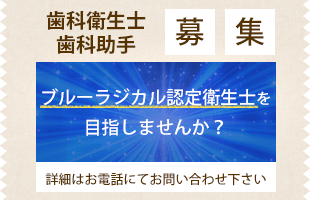 スタッフ募集